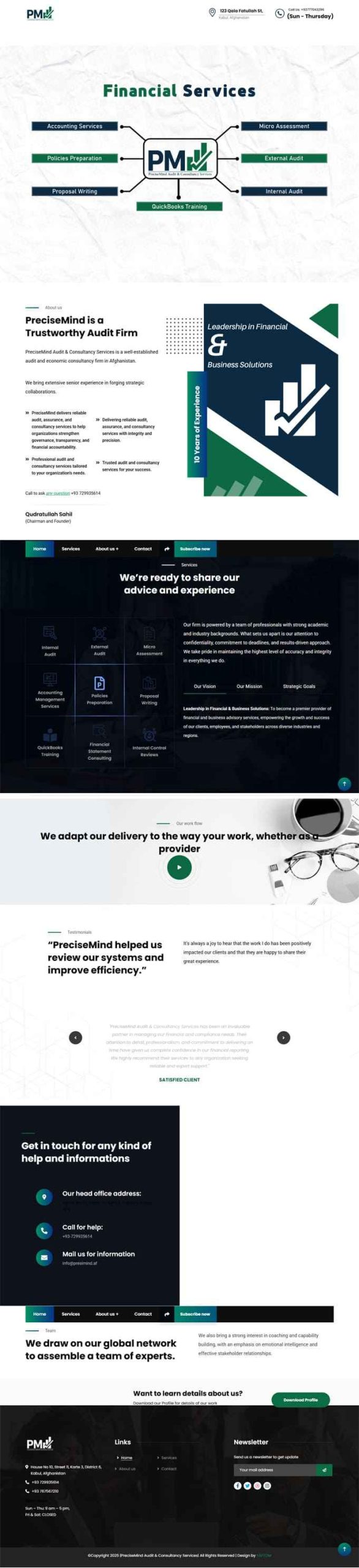PreciseMind Audit & Consultancy Services